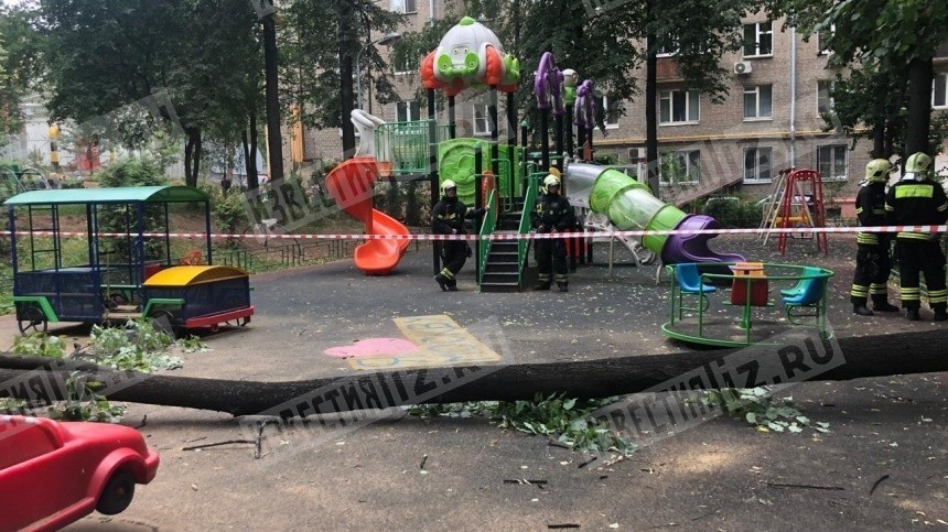 Видео: Четырехлетний мальчик погиб в Москве из-за упавшего дерева