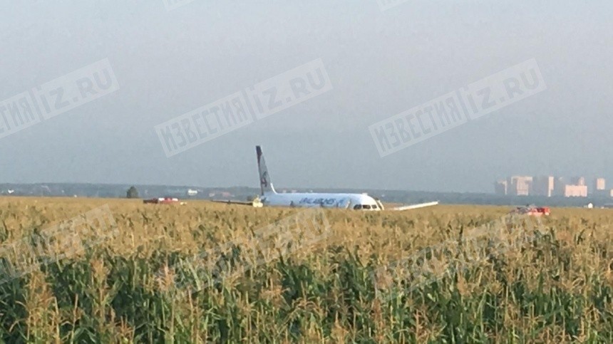 5-tv.ru публикует фото с места аварийной посадки самолета в поле в Подмосковье