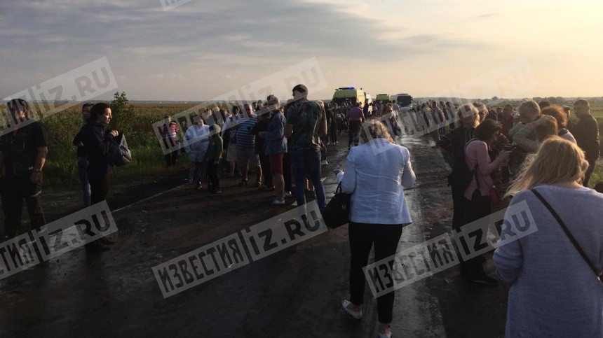 5-tv.ru публикует фото с места аварийной посадки самолета в поле в Подмосковье