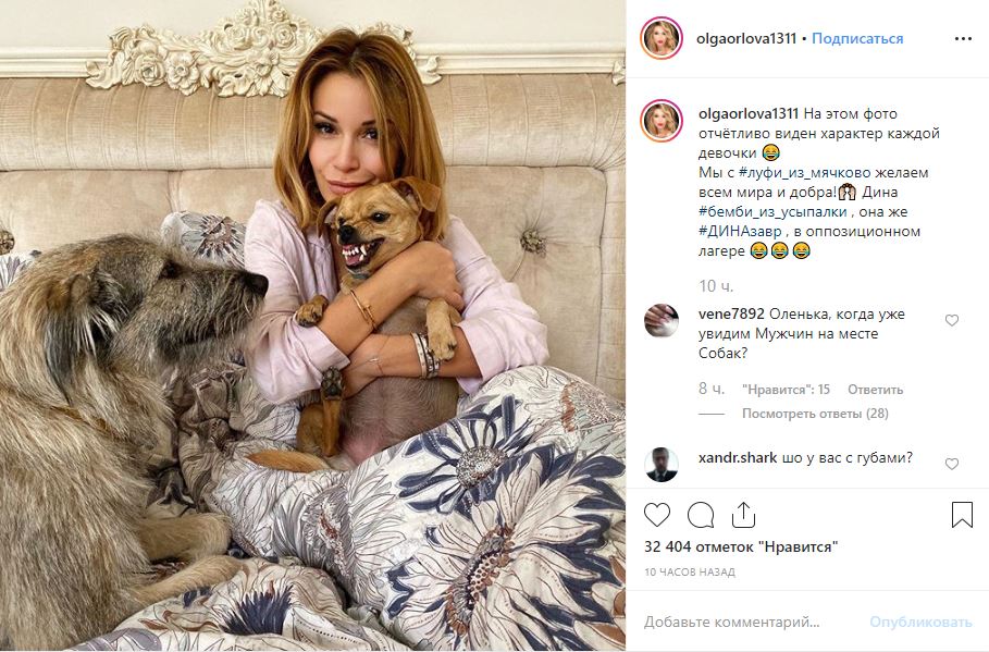 А что с личной жизнью? Ольга Орлова снялась в постели с собаками — фото